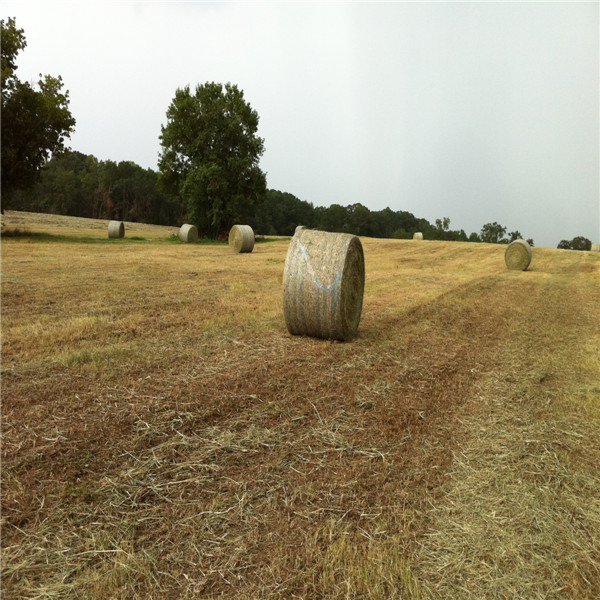 运泰圆捆打捆网,牧草、秸秆网 运泰圆捆打捆网,牧草、秸秆网