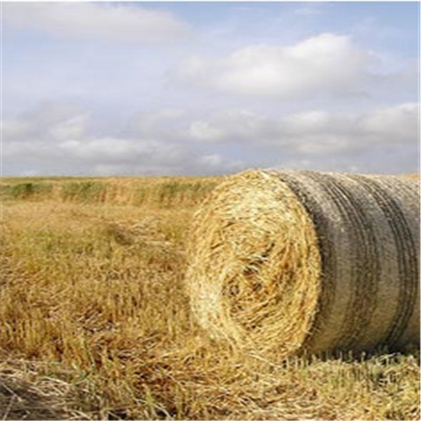 农用捆草网,牧草网 农用捆草网,牧草网