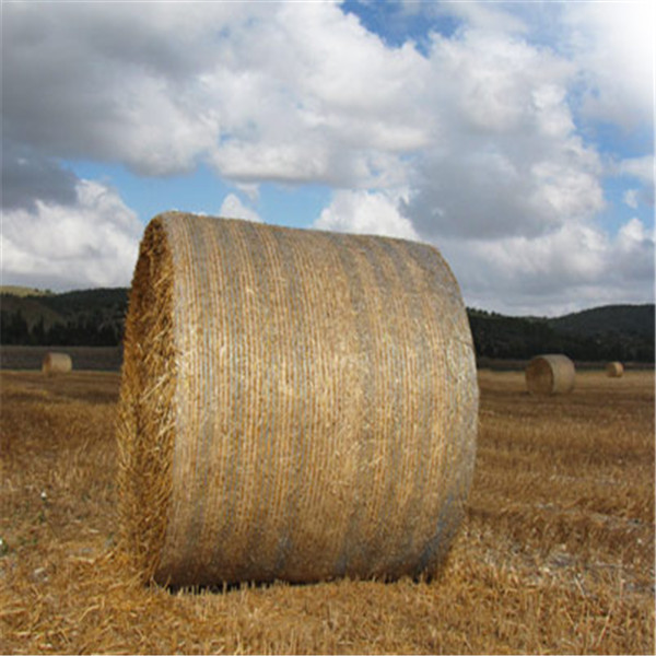 大量销售各种优质网 捆草网 质量保证 大量销售各种优质网 捆草网 质量保证