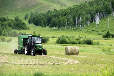 运泰捆草网 (专业生产优质捆草塑料网) 运泰捆草网 (专业生产优质捆草塑料网)