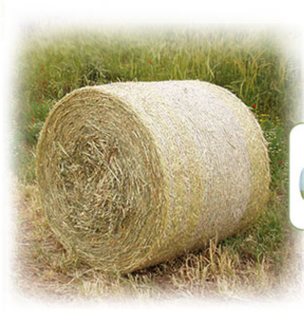 全新料聚乙烯打捆网 质优价美 厂家直销 全新料聚乙烯打捆网 质优价美 厂家直销