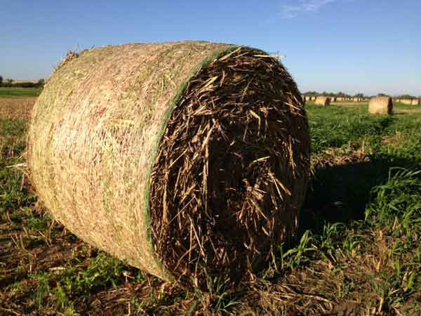 10g常州厂家全新料聚乙烯材质打捆网 10g常州厂家全新料聚乙烯材质打捆网