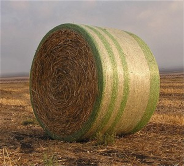 高品质捆草网 高品质捆草网