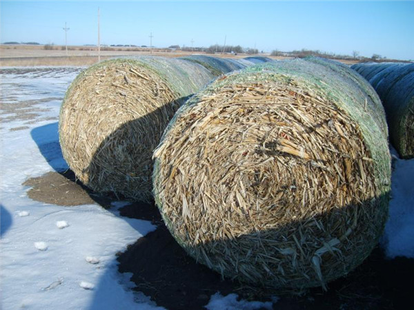 运泰捆草网 出厂价格 运泰捆草网 出厂价格