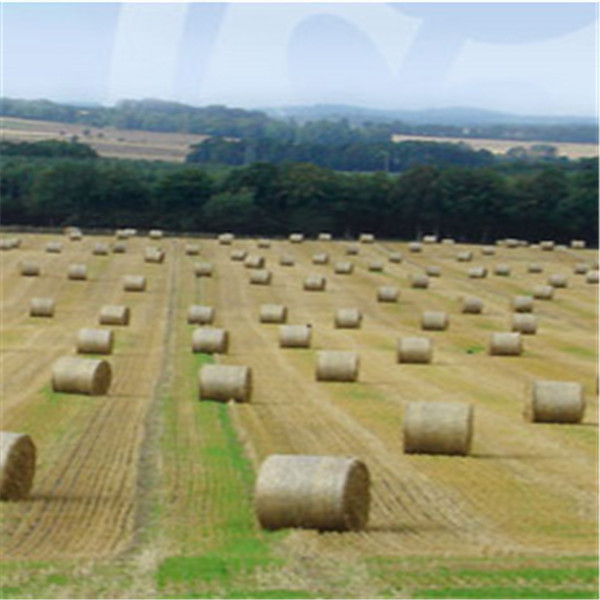 运泰聚乙烯牧草打捆网 品质保证 运泰聚乙烯牧草打捆网 品质保证